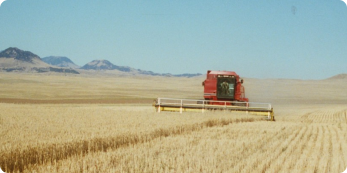 Growing Food as Medicine in Montana